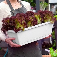 5 Pack Rectangle Garden
