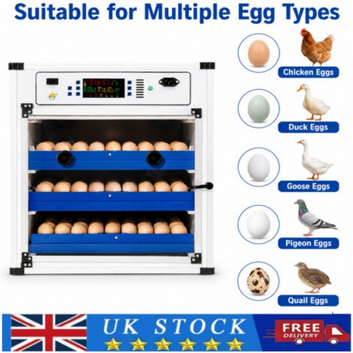 204 eggs digital incubator - eggs,