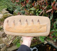 XL Fossil Mosasaur Jaw