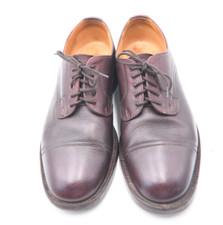 Dapper Dresser Alert Alfred