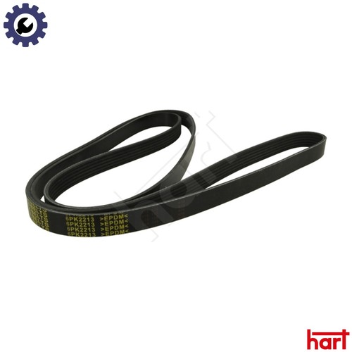 Vribbed belt 368 986 for - 368,