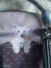 Westie Highland terrier dog