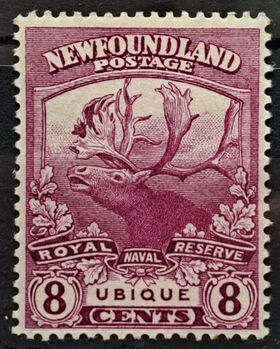 Newfoundland 1919 contingent - 1919,