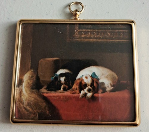 King charles spaniels sir - spaniels,