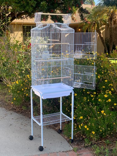 Inch large open top canary - 66-inch,