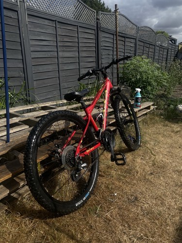 Carrea junior 24inch small - carrea,