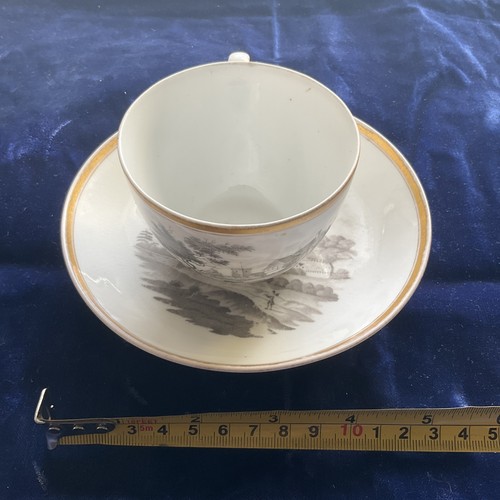 Spode bat printed - spode, and