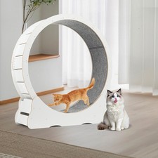 Wooden Cat Exercise Wheel