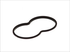 Coolant thermostat gasket