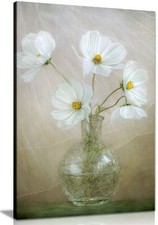 White Daisy flowers in a vase