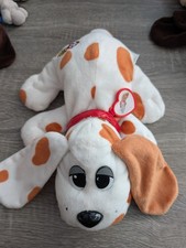 Brown And White Pound Puppy