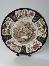 Mason's Ironstone 10"