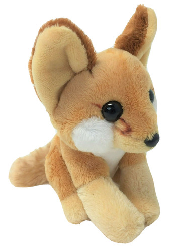 New fennec fox - new, republic