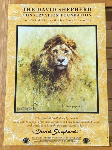 David shepherd personally - david,