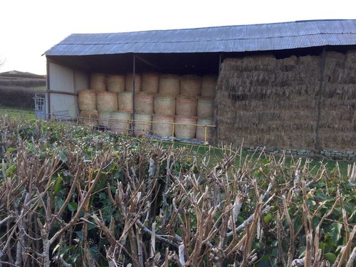 Photo 12x8 hay bales - photo,