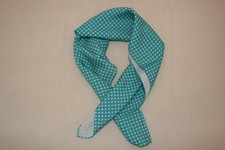 Corneliani Men 100% Silk Scarf