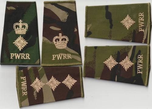 Princess wales royal - of, wales's