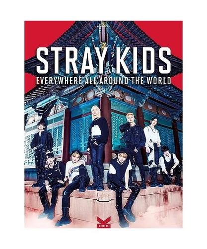 Stray kids everywhere - -, all