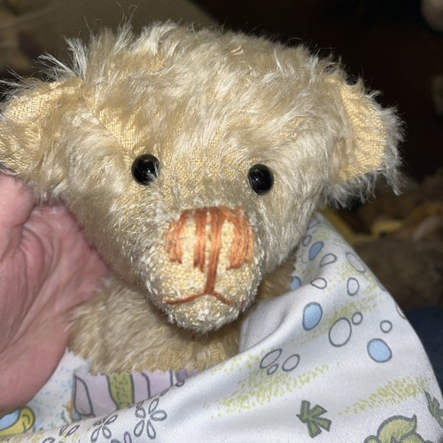 Somethings bruin teddy bear - teddy,