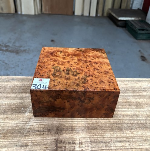 Thuya burr 6 x - 1,