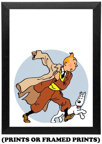 The adventures tintin - tintin,