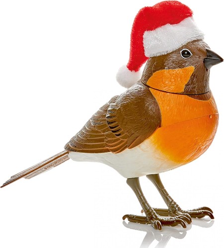 Christmas singing robin with - robin,