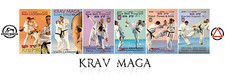Original Lictenstein Krav Maga 6 DVD SET