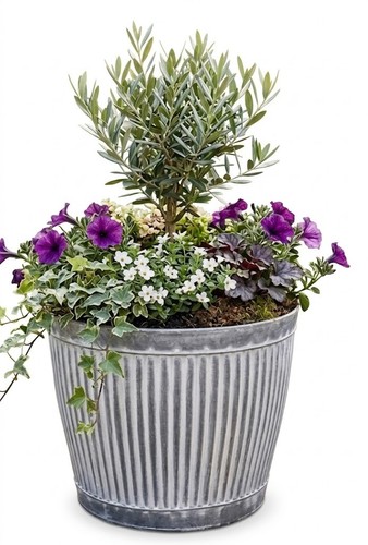 Galvanised planters large - galvanised,