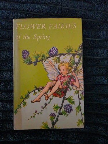 Flower fairies the spring - flower,