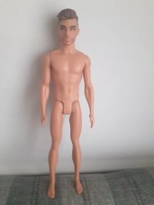 Barbie and Ken Dolls. Ken Fashionista Doll. No Clothes. Brown Hair & Beard. Fab!
