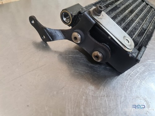Moto guzzi v11 - v11, le