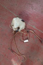Ford Sierra Mk1 Washer Bottle