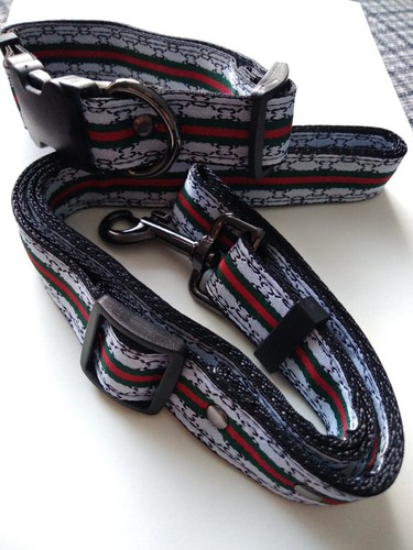 Brand new dog collar and - collar, lead
