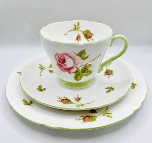 Shelley bone china - bone, trio: