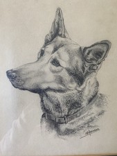 Vintage Pencil Drawing of an