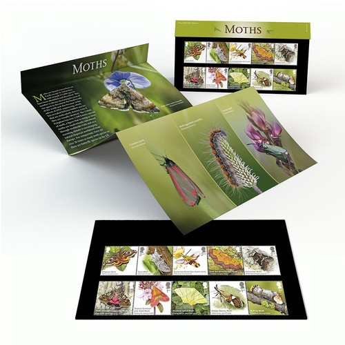 Moths presentation pack from - pack,