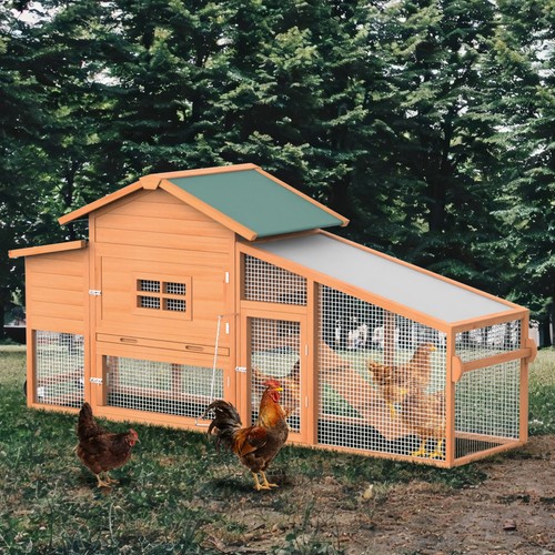 Outdoor wooden chicken coop - outdoor,