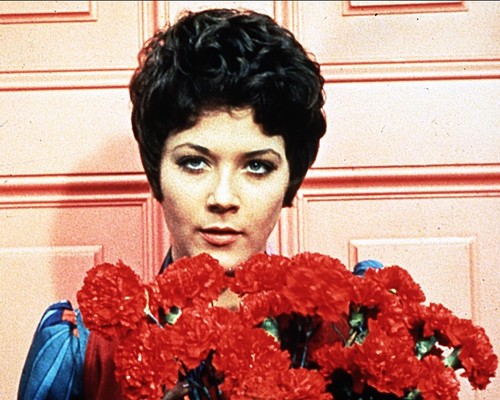 Linda thorson avengers x - linda,