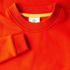 Squirrel Scouts Official