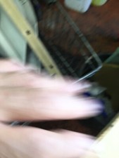 volkswagen transporter t4