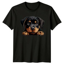Cute Rottweiler Dog Breed Pet