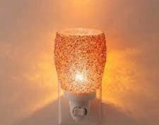 Scentsy mini warmer plug in