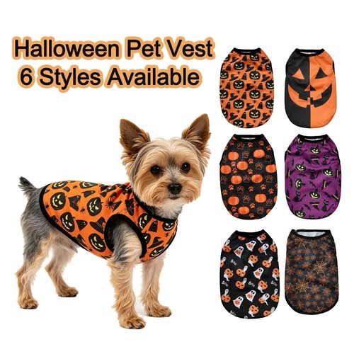 Pumpkin costume for dogs - pumpkin,