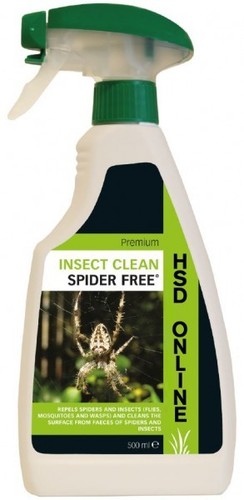 Spider insect repellent - insect, home