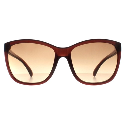 Calvin klein sunglasses - calvin,