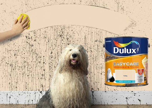 Dulux easycare washable - dulux,