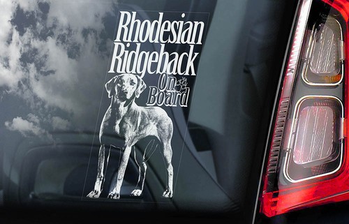 Rhodesian ridgeback car - rhodesian,