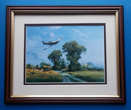 Aircraft print framed - print,