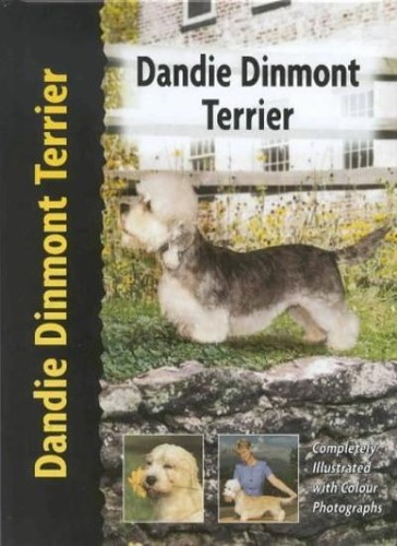 Dandie dinmont terrier pet - terrier, (pet