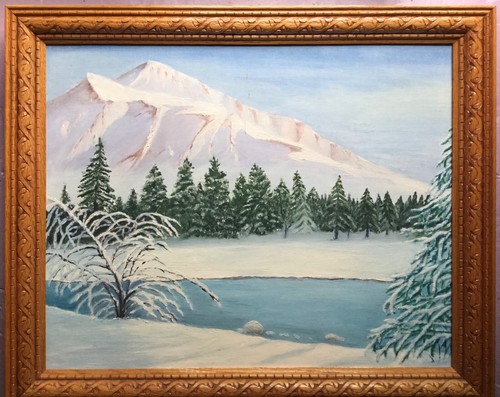 Winter scene burr oak - winter,